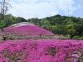 4合目と山頂