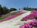 登山道南側