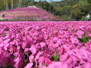 私設公園